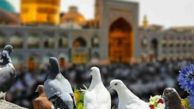 مشهد: أقدس مدينة في إيران وضريح الإمام رضا مشهد أقدس مدينة في إيران