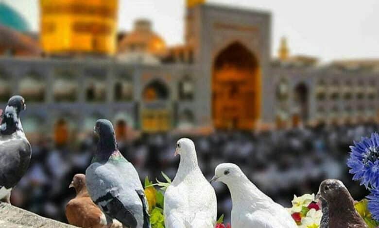 مشهد أقدس مدينة في إيران