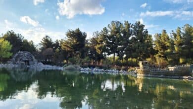 باغ النباتات في مشهد؛ دليلك الشامل للوصول والتعرف على المعالم باغ النباتات في مشهد